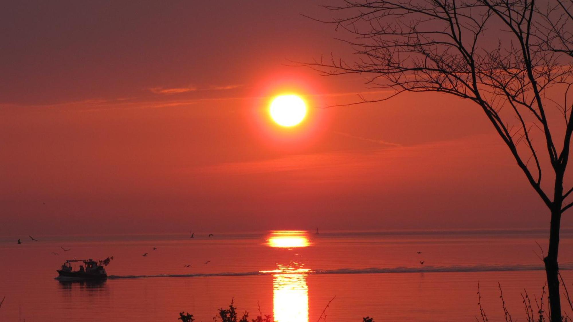 Beachside Eckernförde Dış mekan fotoğraf